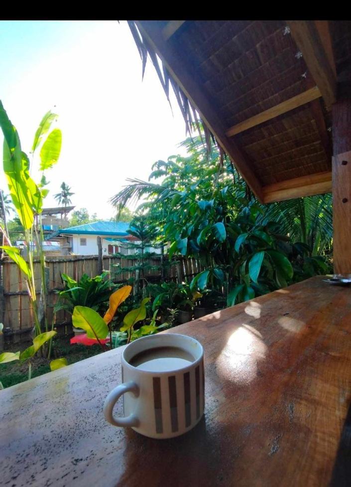 Ziah'S Guest House ซาน วิเซนเต ภายนอก รูปภาพ