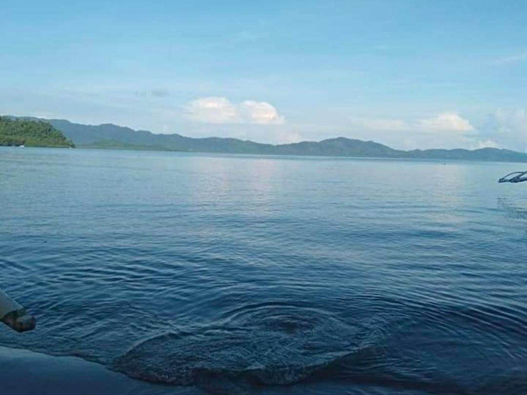 Ziah'S Guest House ซาน วิเซนเต ภายนอก รูปภาพ
